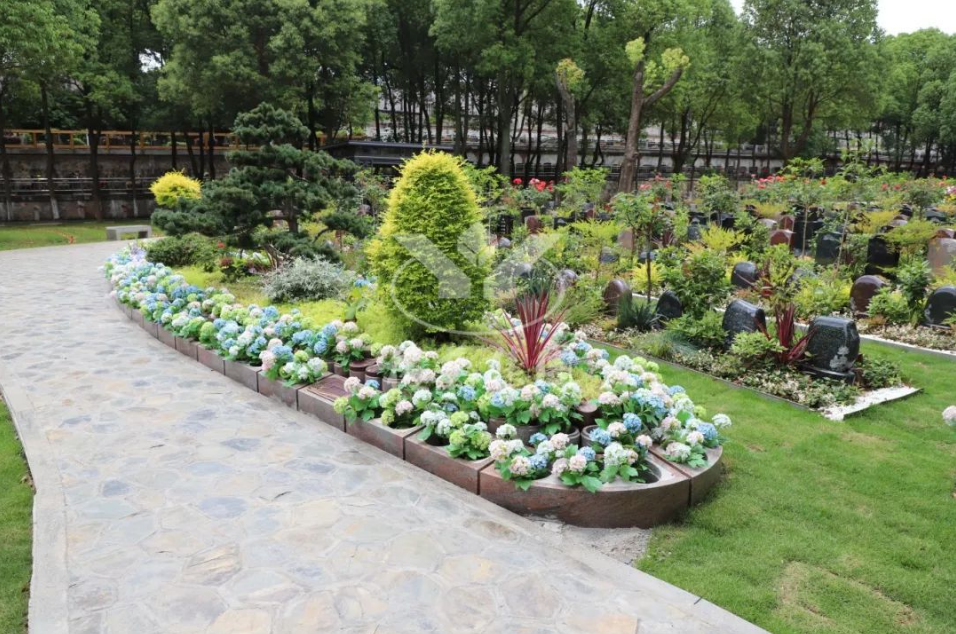 美高梅集团4688am(唯一)有限公司官网