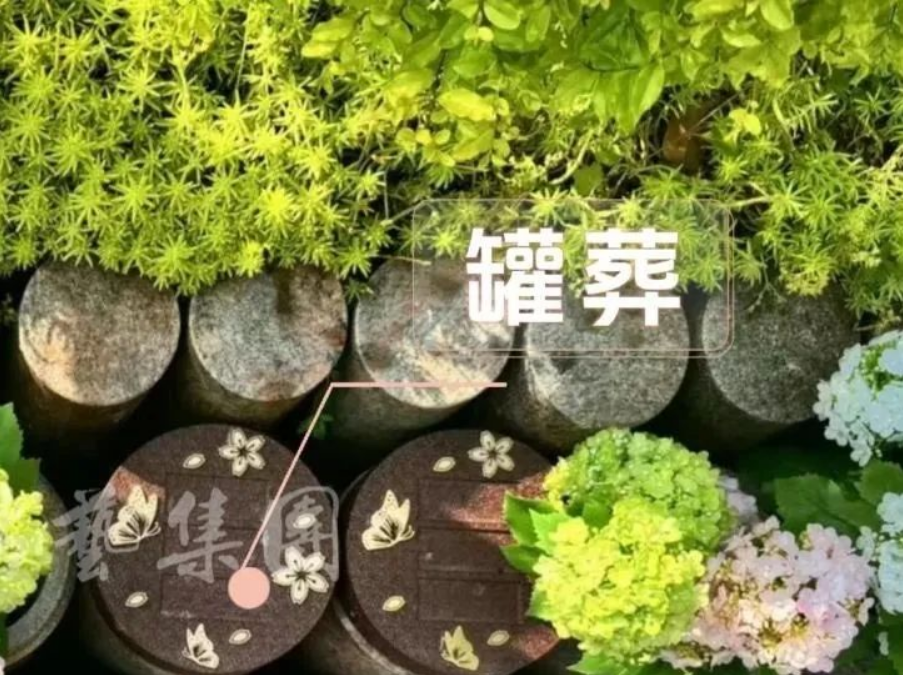 美高梅集团4688am(唯一)有限公司官网