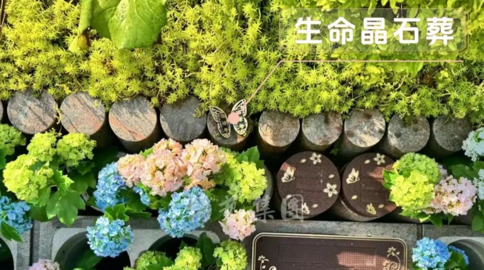 美高梅集团4688am(唯一)有限公司官网