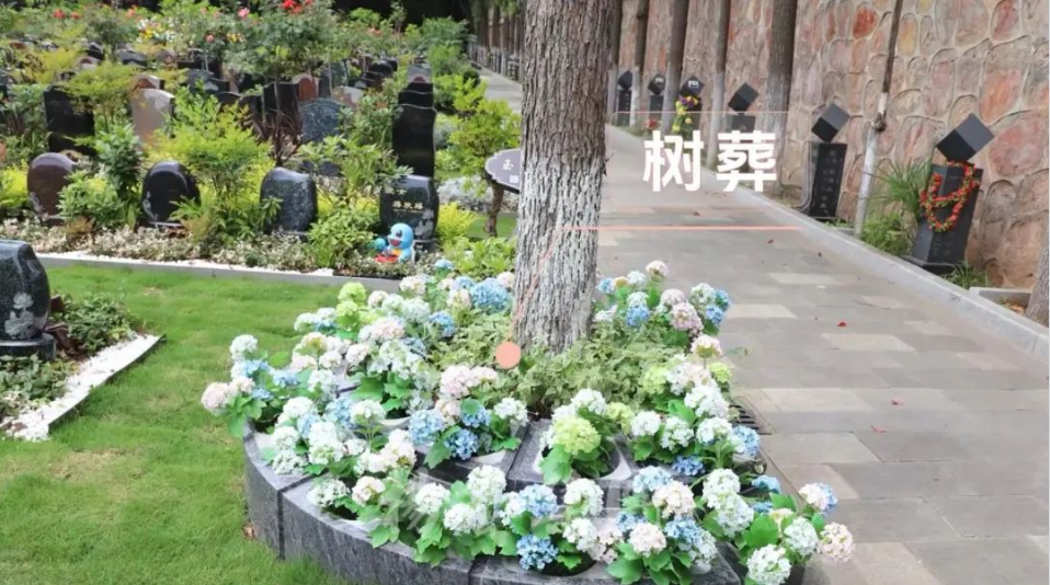 美高梅集团4688am(唯一)有限公司官网