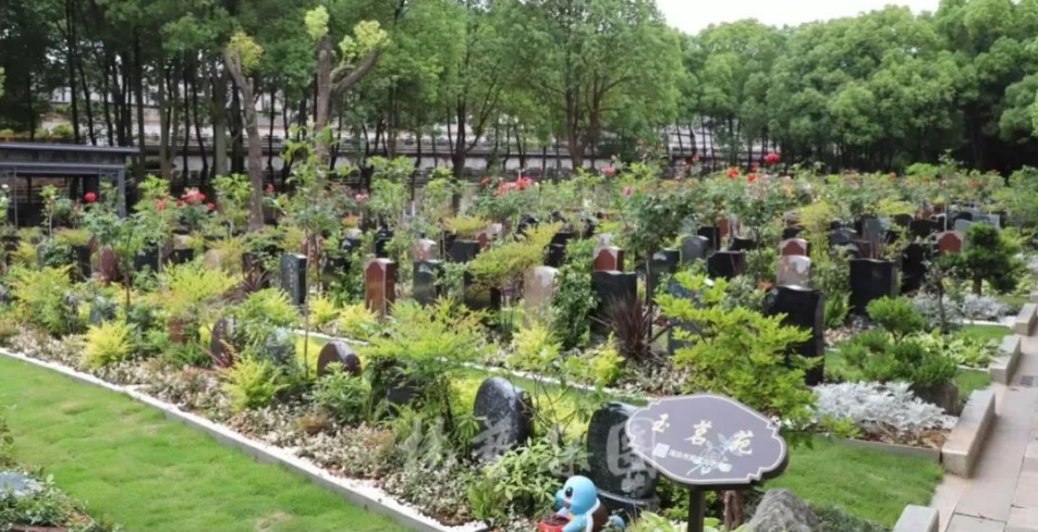 美高梅集团4688am(唯一)有限公司官网