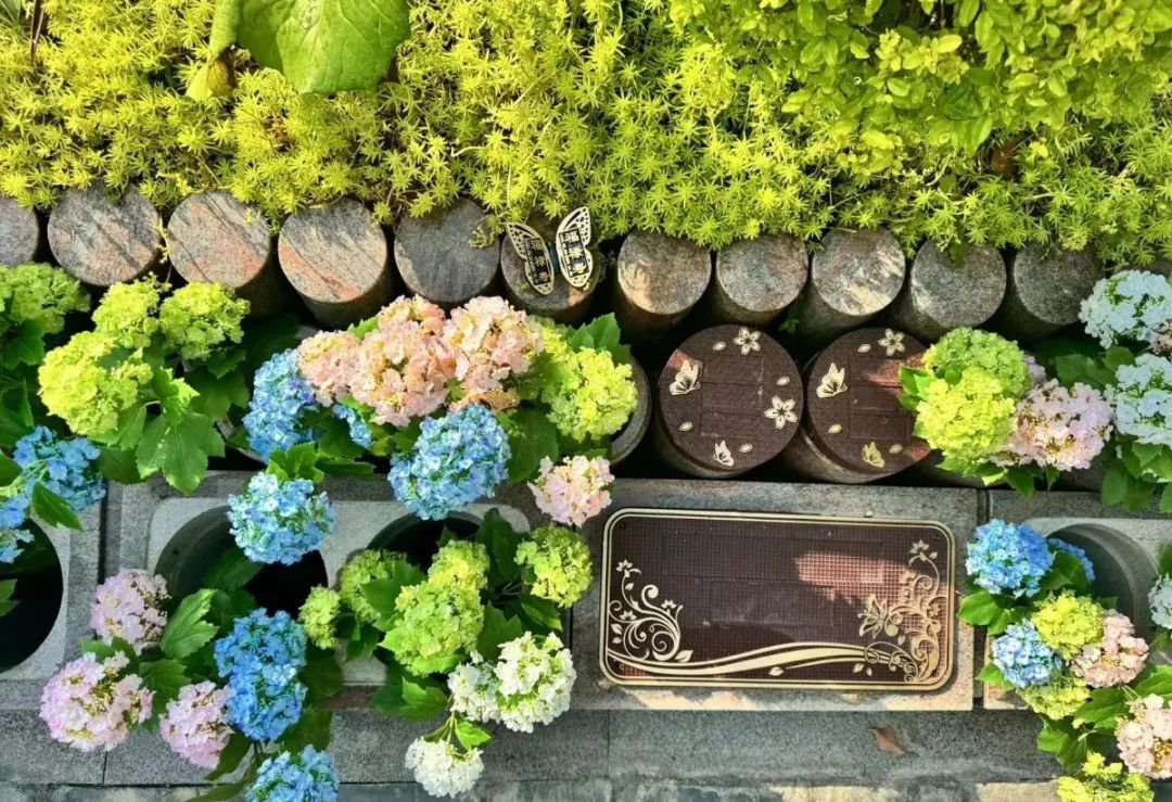 美高梅集团4688am(唯一)有限公司官网