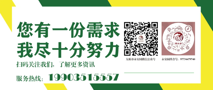 美高梅集团4688am(唯一)有限公司官网