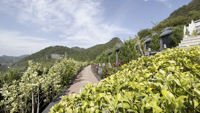 美高梅集团4688am(唯一)有限公司官网