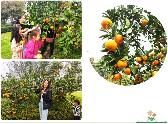 美高梅集团4688am(唯一)有限公司官网