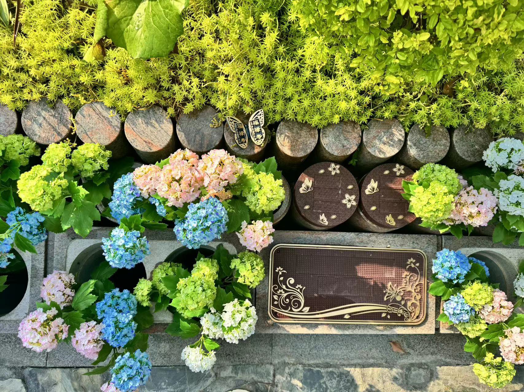 美高梅集团4688am(唯一)有限公司官网