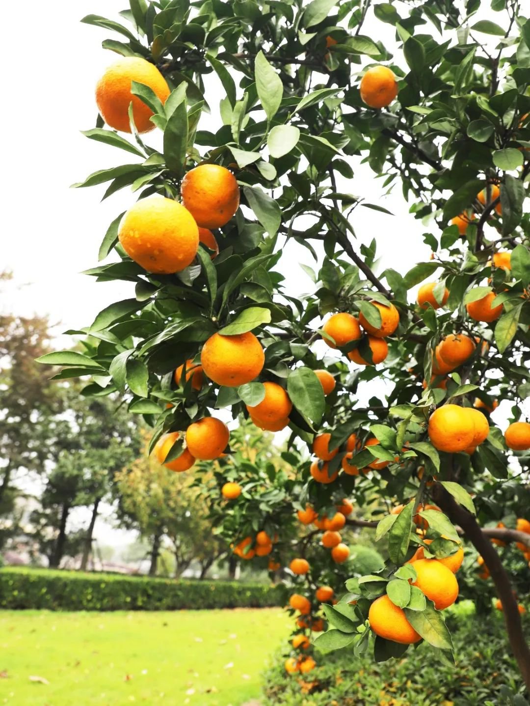 美高梅集团4688am(唯一)有限公司官网