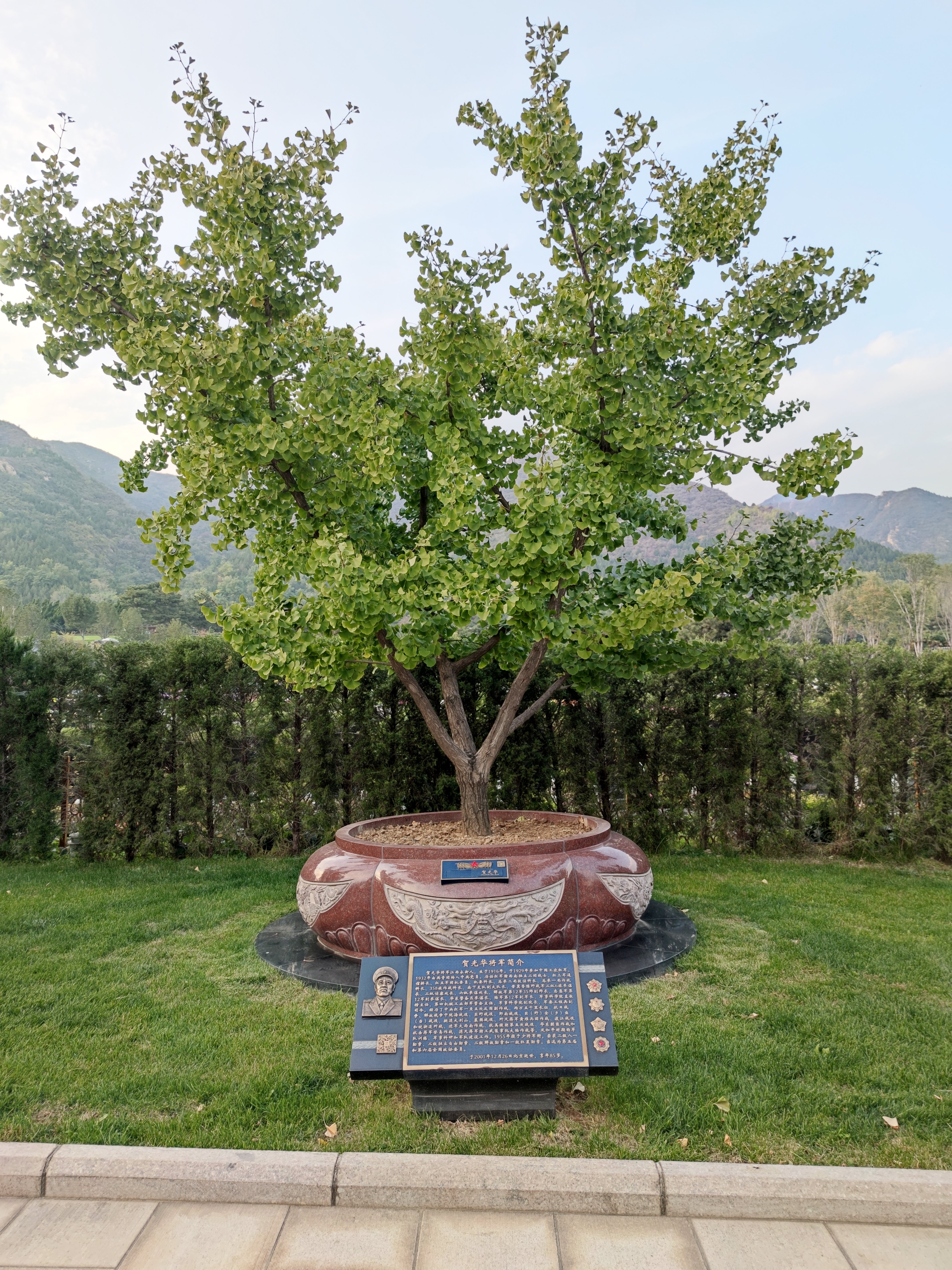 美高梅集团4688am(唯一)有限公司官网