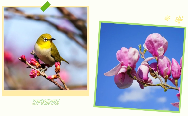 美高梅集团4688am(唯一)有限公司官网