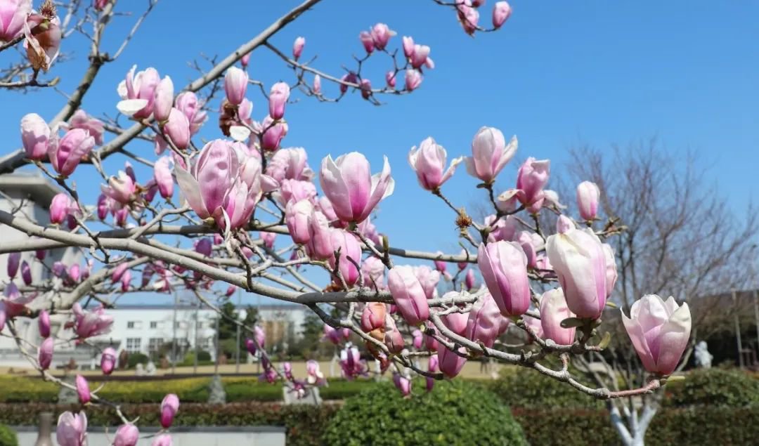 美高梅集团4688am(唯一)有限公司官网