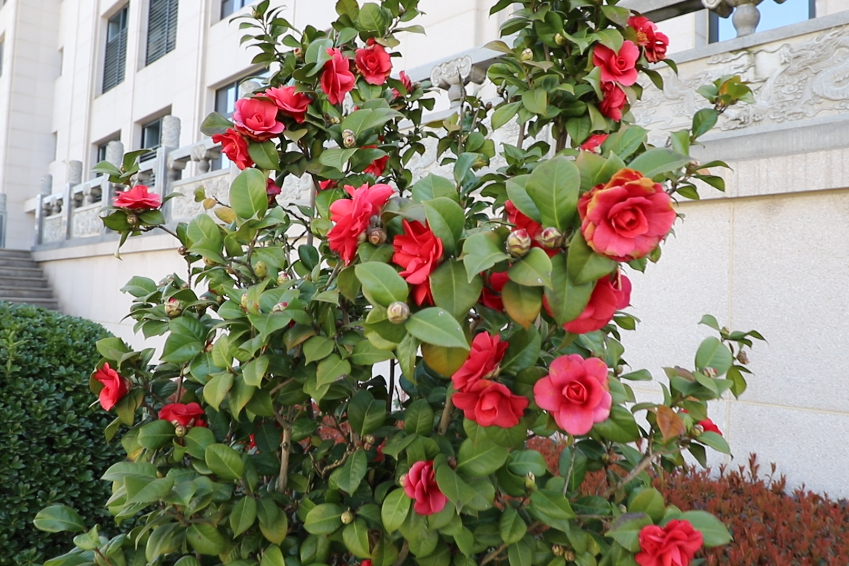 美高梅集团4688am(唯一)有限公司官网