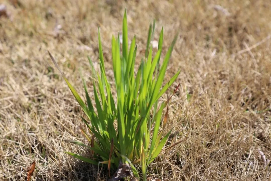 美高梅集团4688am(唯一)有限公司官网