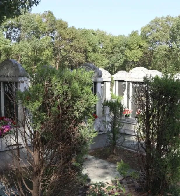 美高梅集团4688am(唯一)有限公司官网