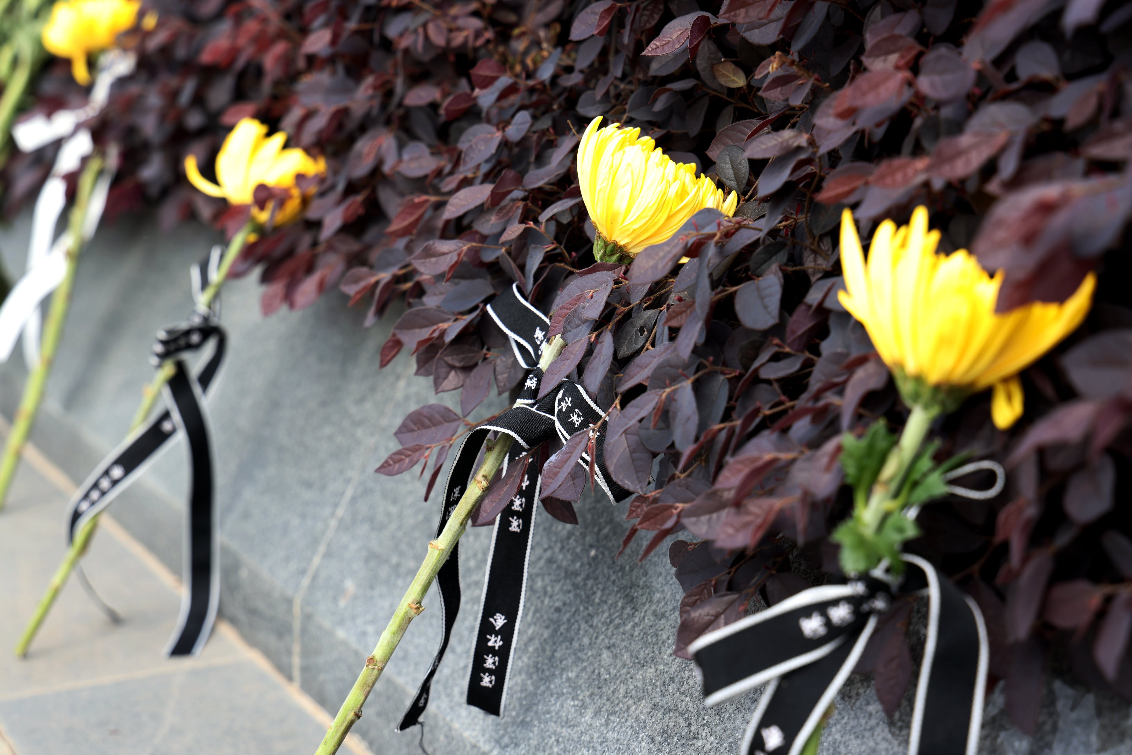 美高梅集团4688am(唯一)有限公司官网