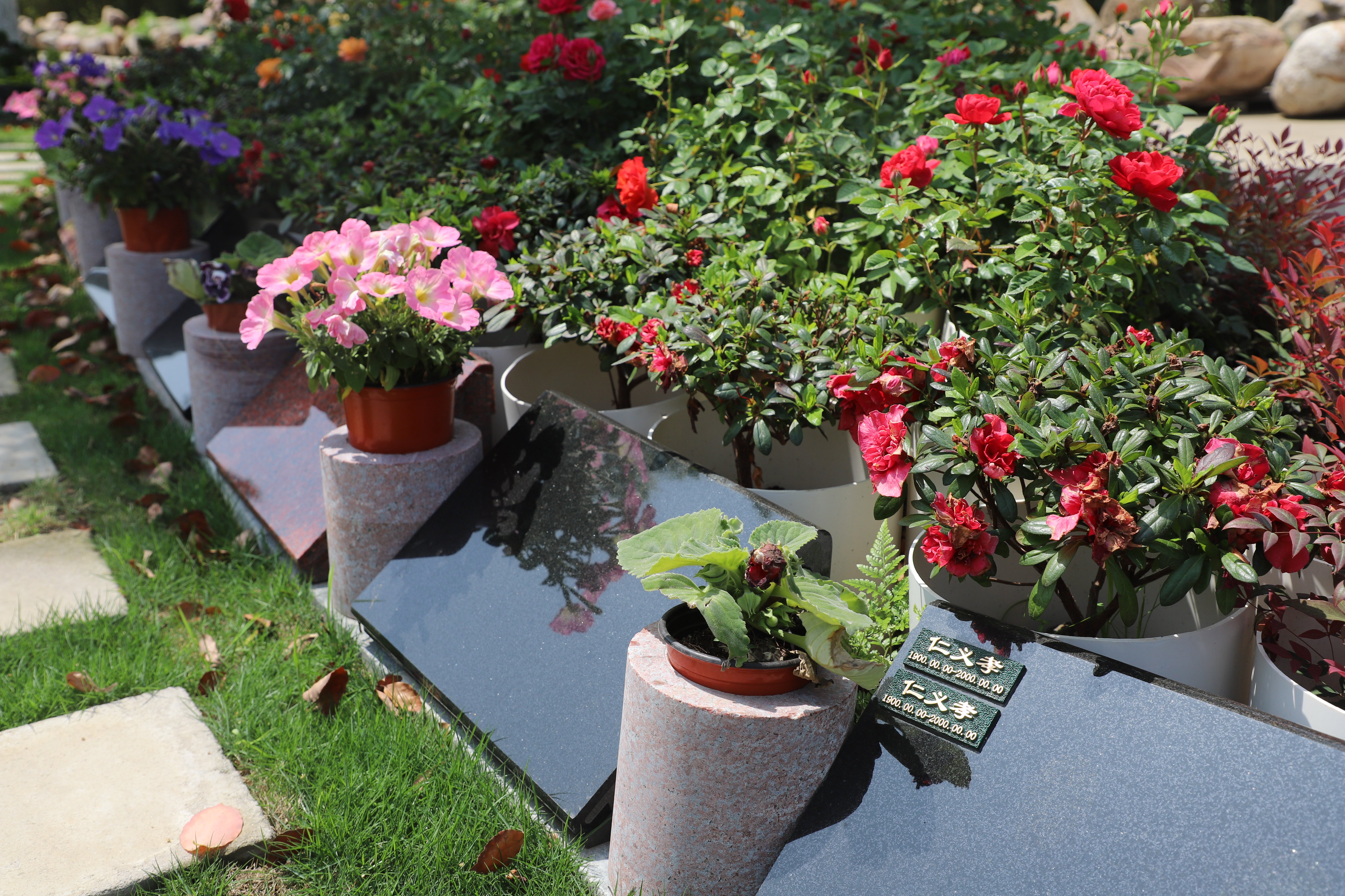 美高梅集团4688am(唯一)有限公司官网