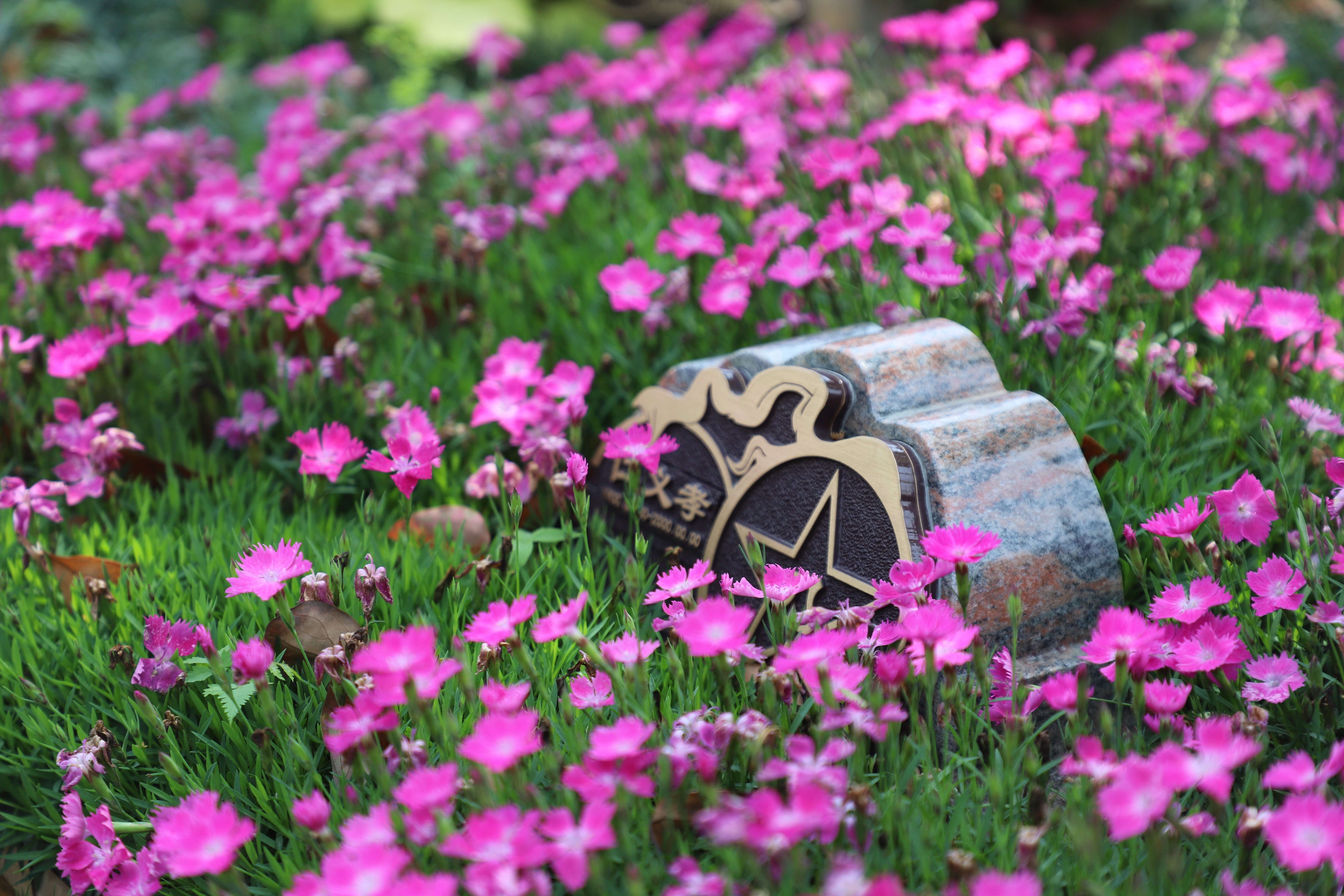 美高梅集团4688am(唯一)有限公司官网