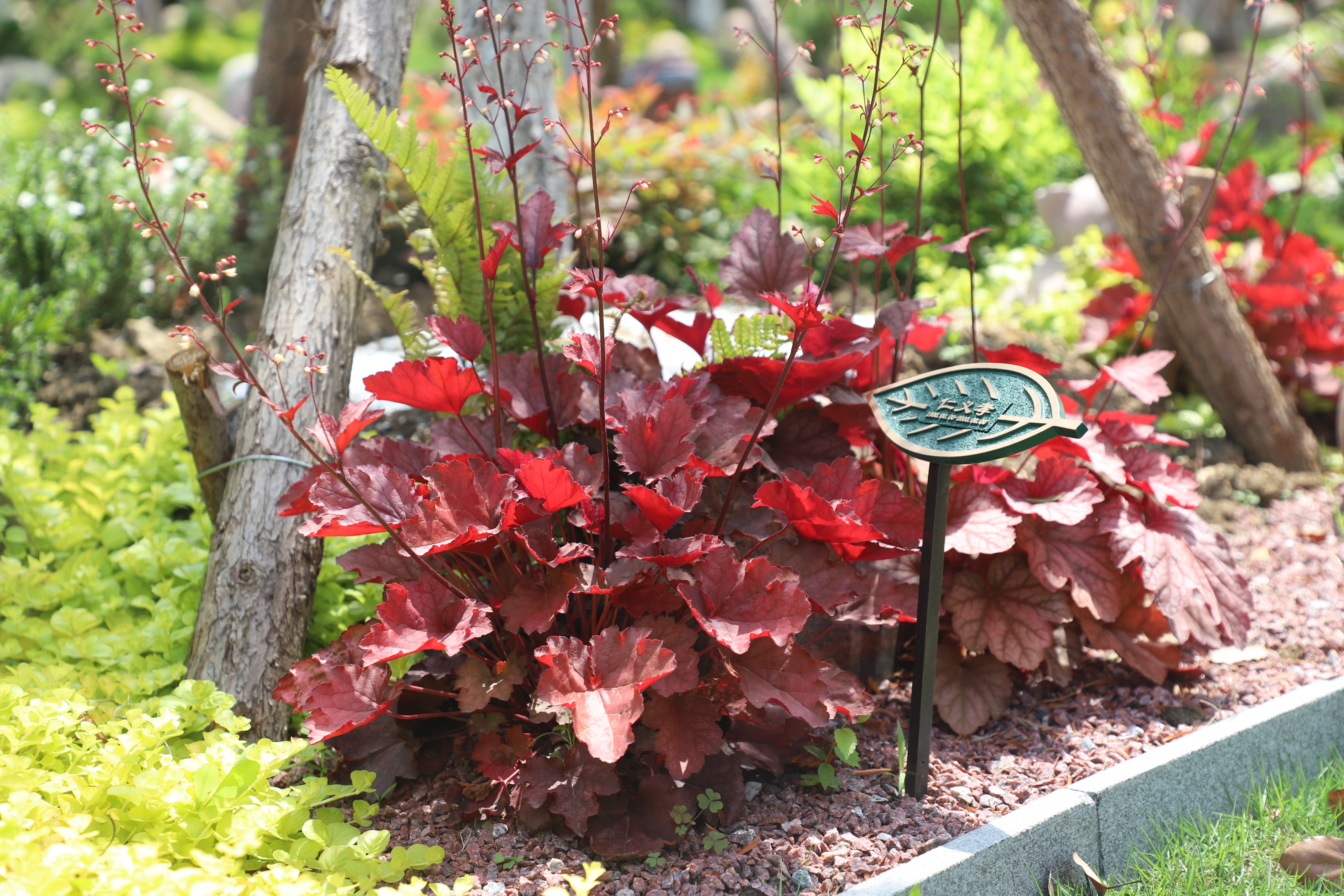 美高梅集团4688am(唯一)有限公司官网