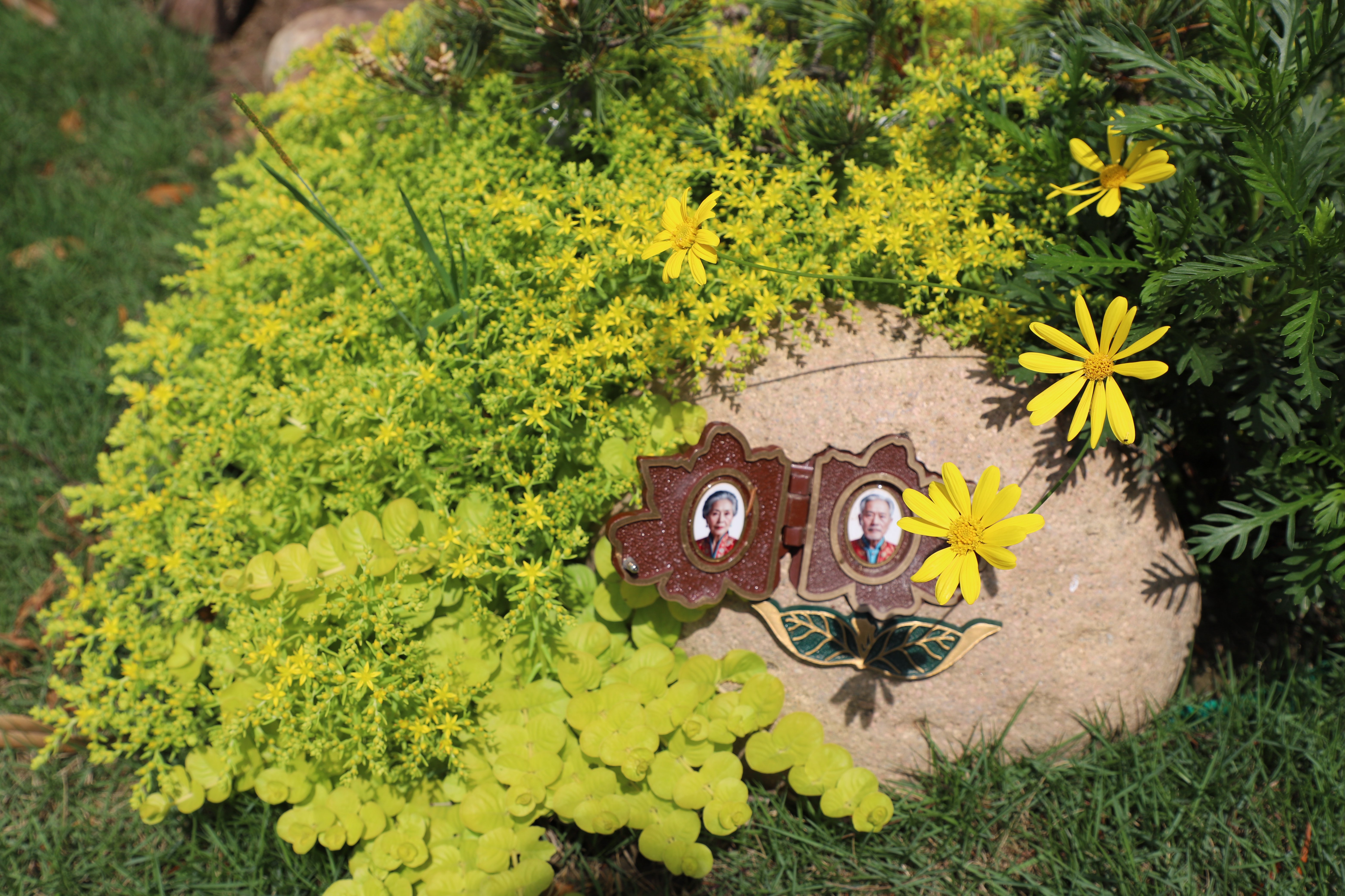 美高梅集团4688am(唯一)有限公司官网