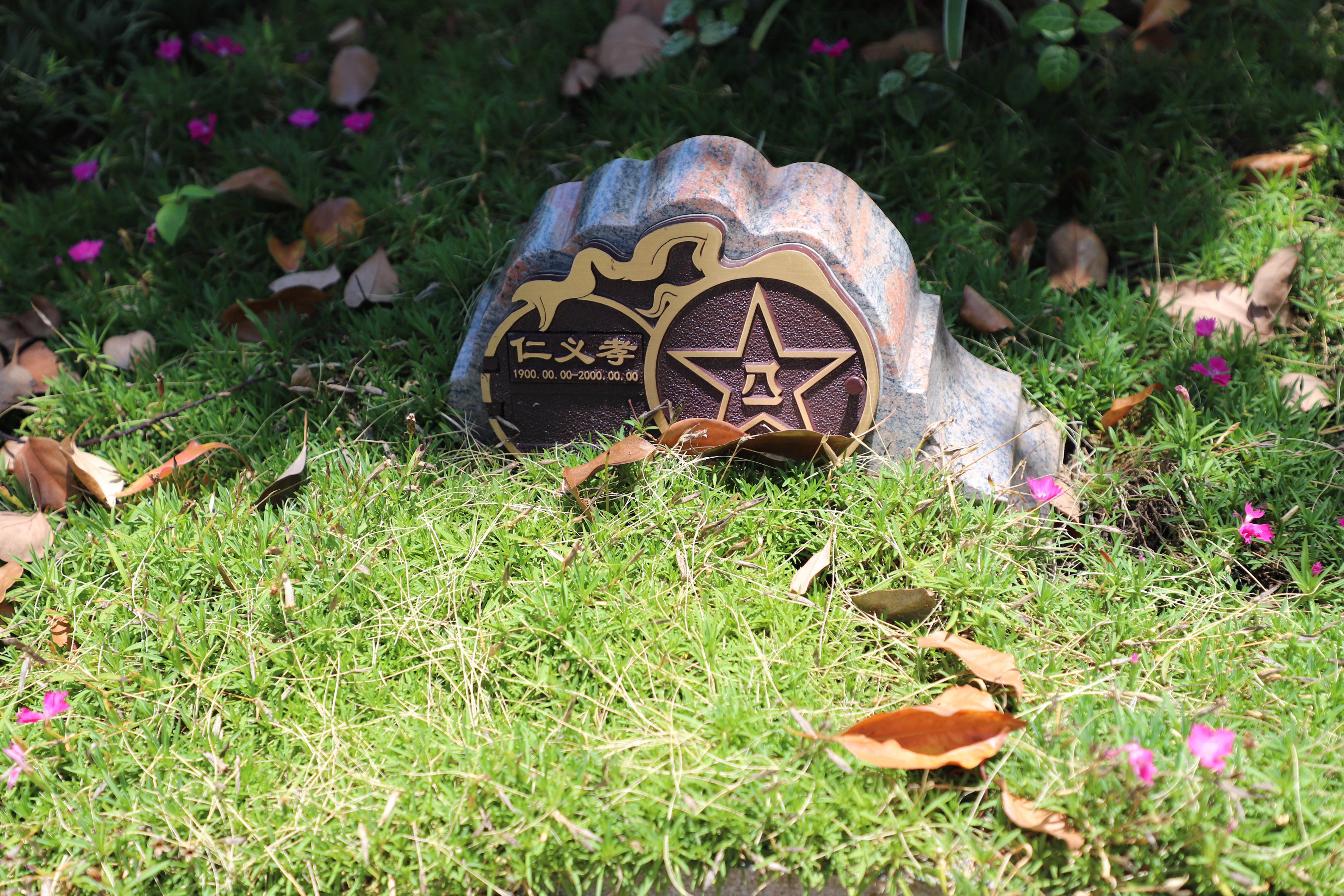 美高梅集团4688am(唯一)有限公司官网