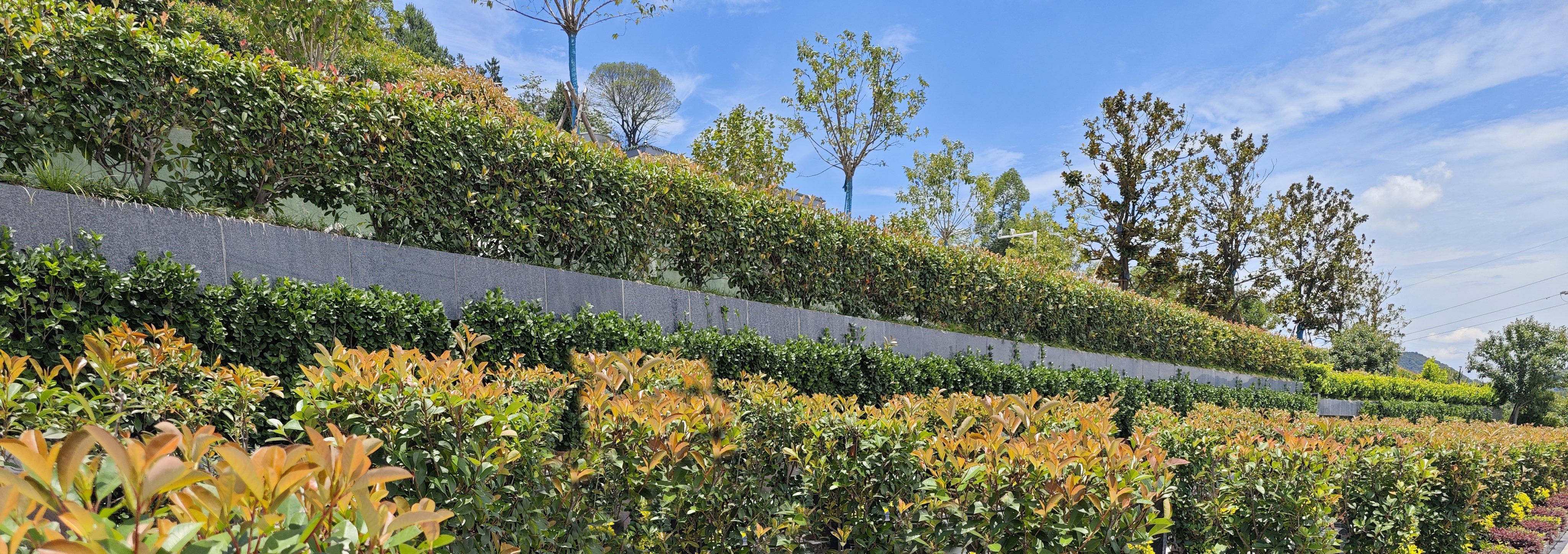 美高梅集团4688am(唯一)有限公司官网