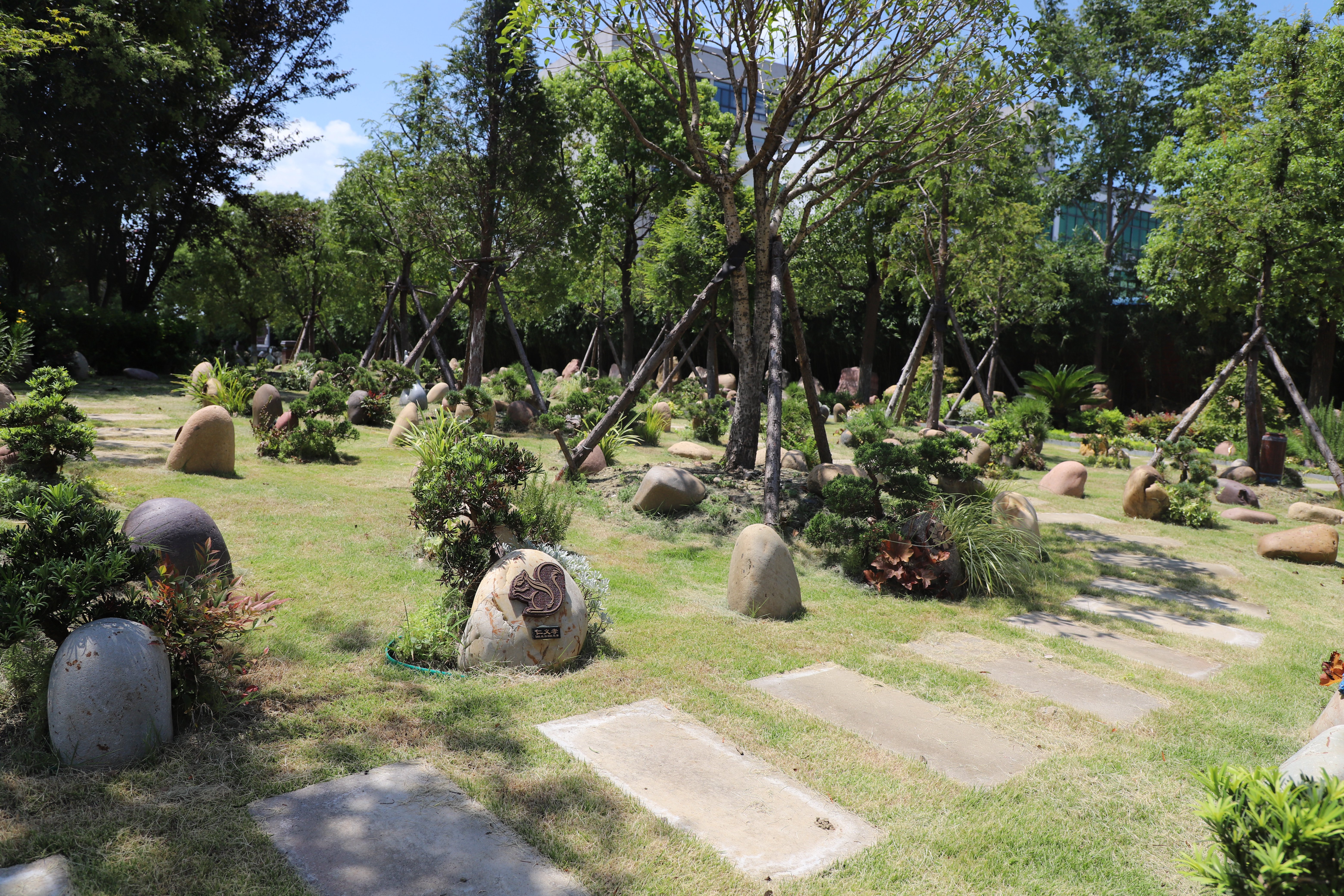 美高梅集团4688am(唯一)有限公司官网